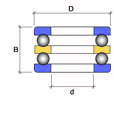 54406